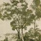 Toile Tapestry - Toile Moss