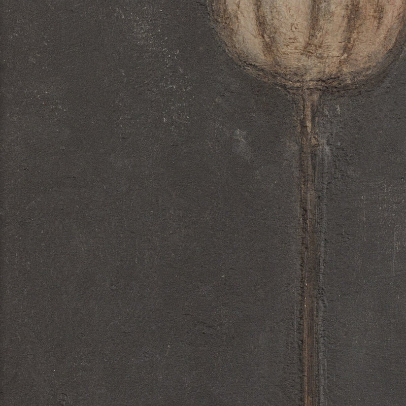 Poppy Noche by Paul Meyer - Rustic Walnut Floater