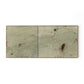 At Peace and In Place by Tyler Guinn - Vertical Grain White Oak Floater
