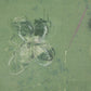 Verdant Garden by Jamie Beckwith - White Oak Floater