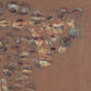 Copper Graffiti by Jamie Beckwith - Black Maple Floater