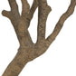 Faux Olive Tree Wide - Faux Olive Tree Wide