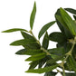 Faux Olive Tree Wide - Faux Olive Tree Wide