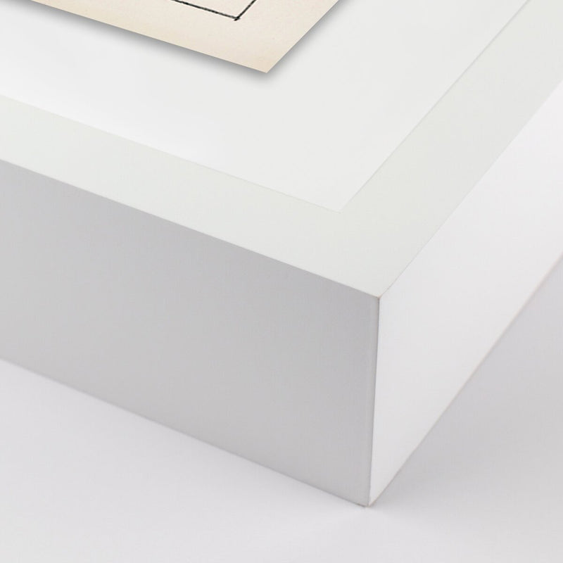 Dessiner by Dan Hobday - White Maple