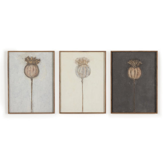 Poppy Triptych by Paul Meyer - Rustic Walnut Floater