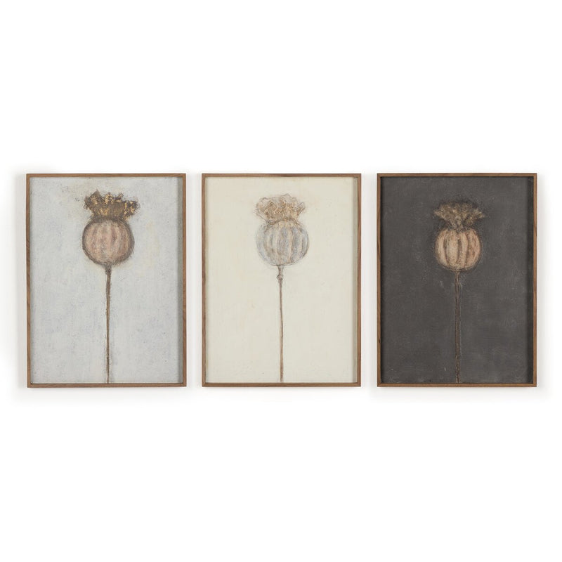 Poppy Triptych by Paul Meyer - Rustic Walnut Floater