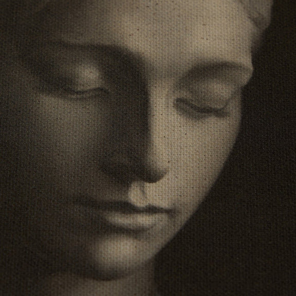 Leaning Into The Light by Bethany Joseph - Brimfield Black
