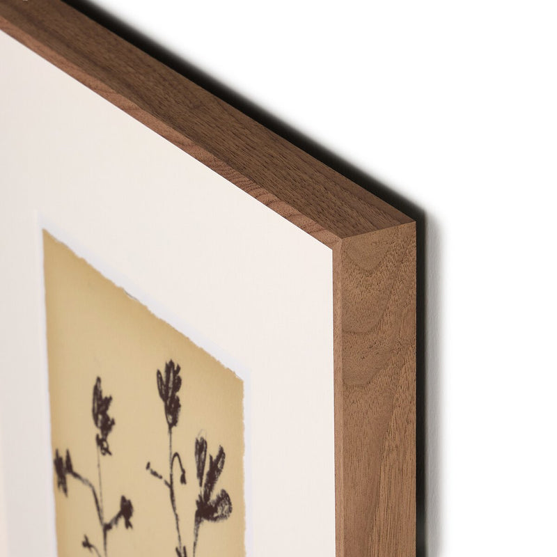 Meadow Rue Set by Shaina Page - Rooftop Rustic Walnut