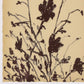 Meadow Rue Set by Shaina Page - Rooftop Rustic Walnut