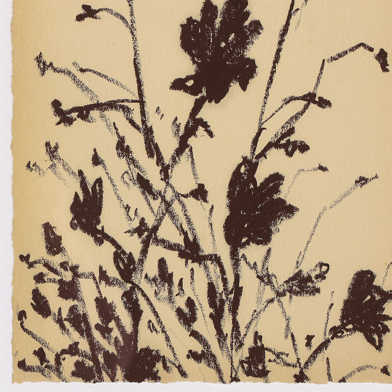 Meadow Rue Set by Shaina Page - Rooftop Rustic Walnut