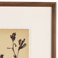 Meadow Rue Set by Shaina Page - Rooftop Rustic Walnut
