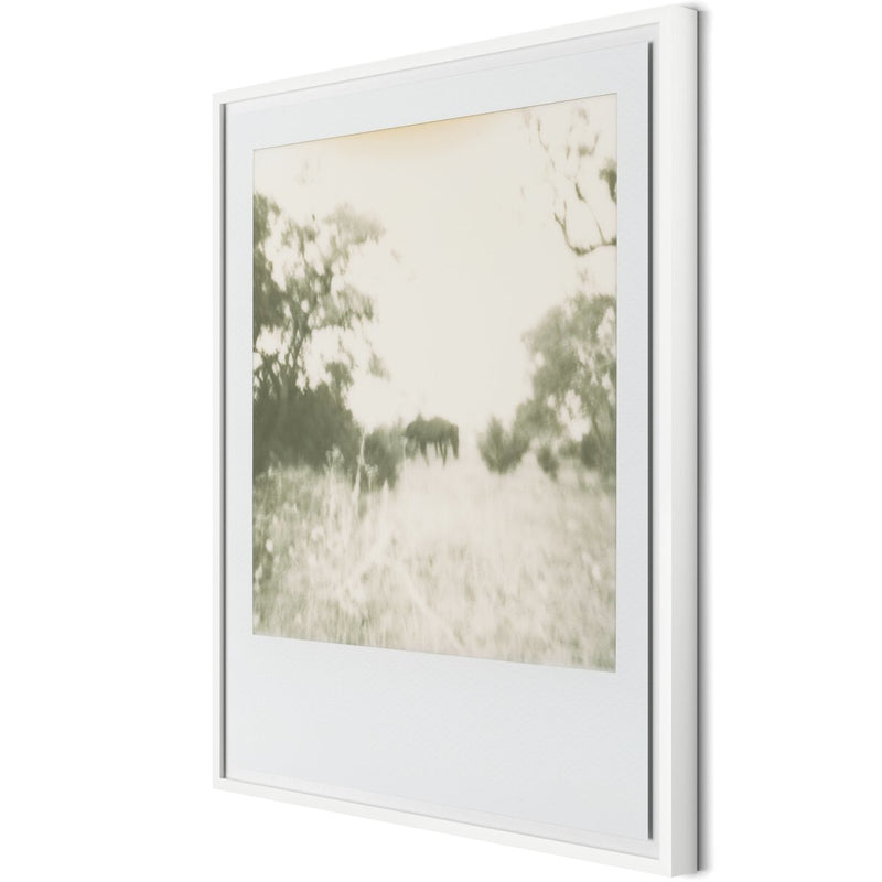 Horses by Darden Smith - White Maple