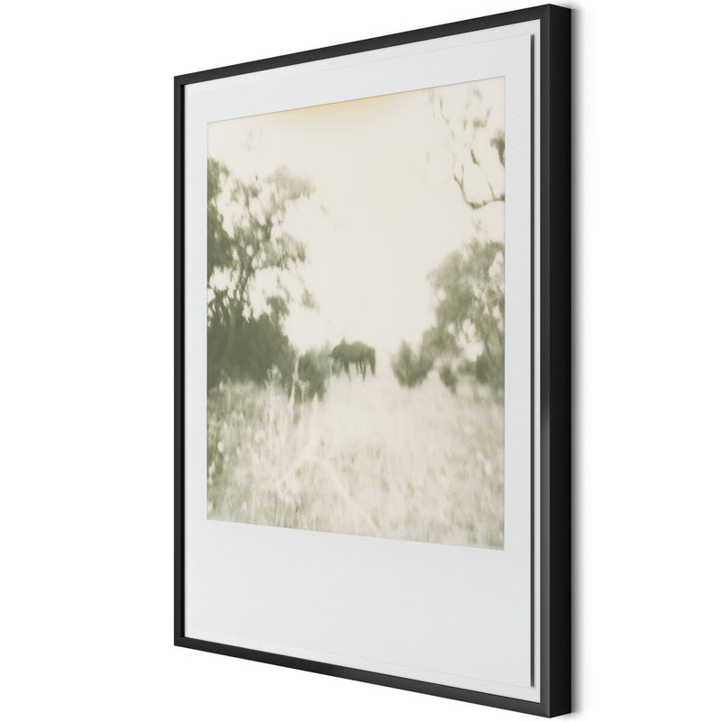Horses by Darden Smith - Black Maple