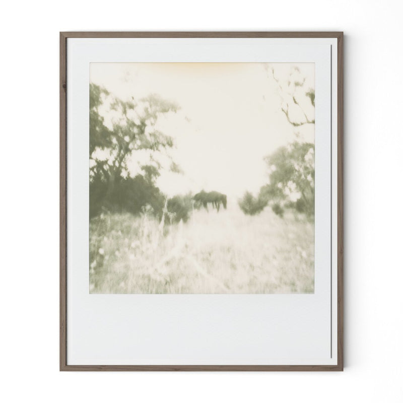 Horses by Darden Smith - Rustic Walnut