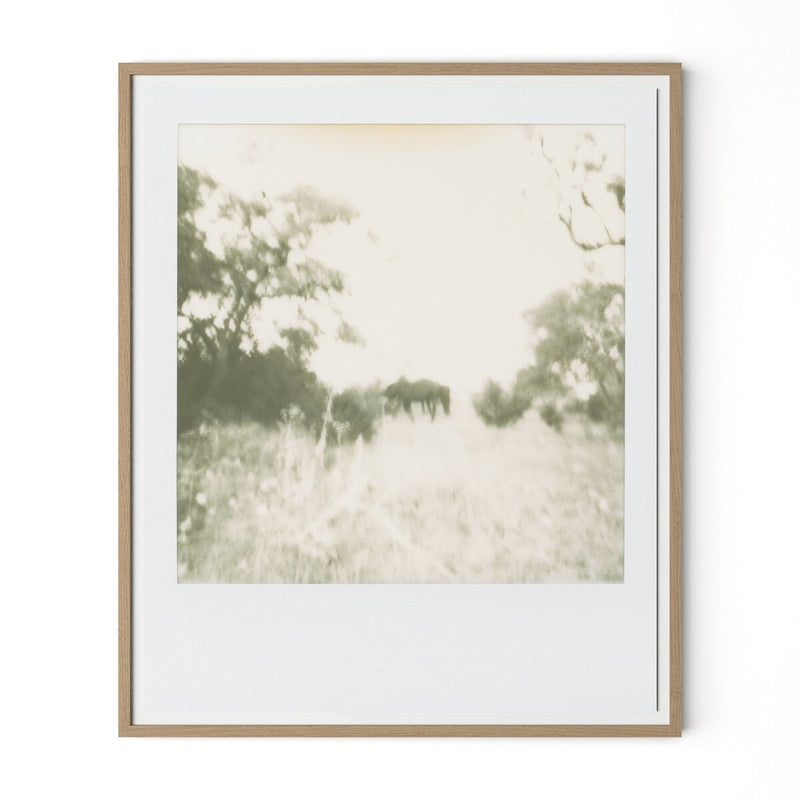 Horses by Darden Smith - White Oak