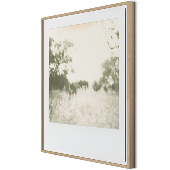 Horses by Darden Smith - White Oak