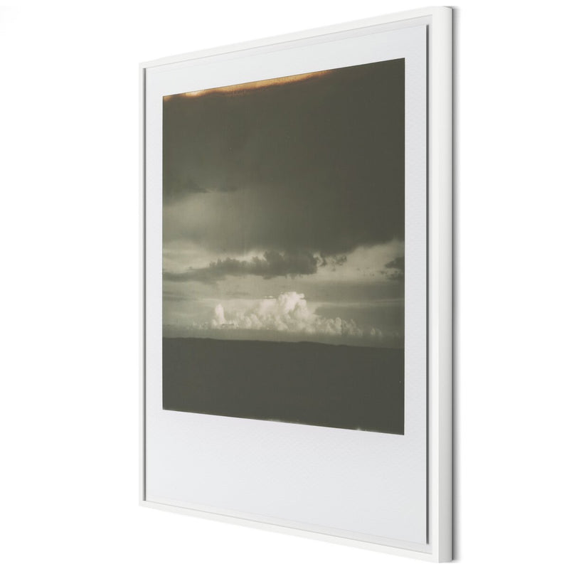 South From 2810 by Darden Smith - White Maple