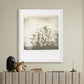 Sunflowers by Darden Smith - White Maple