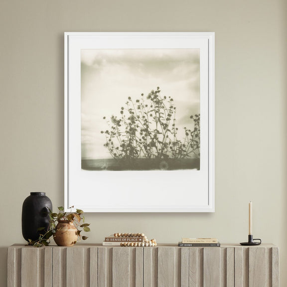 Sunflowers by Darden Smith - White Maple