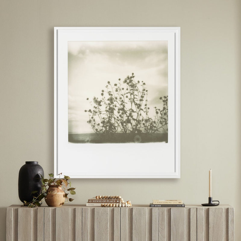 Sunflowers by Darden Smith - White Maple