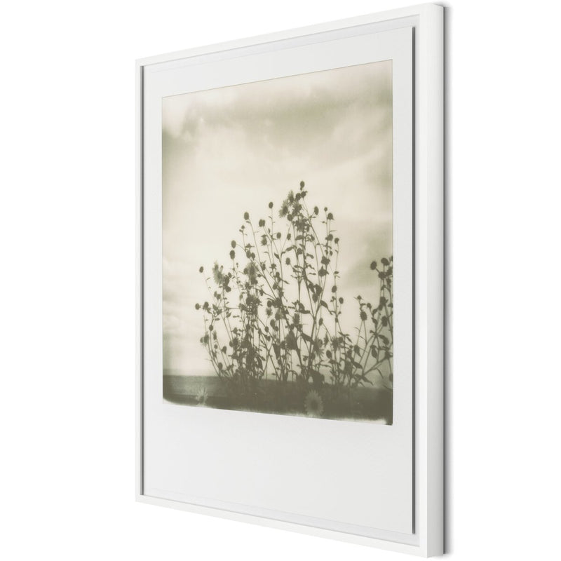 Sunflowers by Darden Smith - White Maple