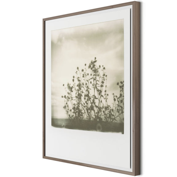 Sunflowers by Darden Smith - Rustic Walnut