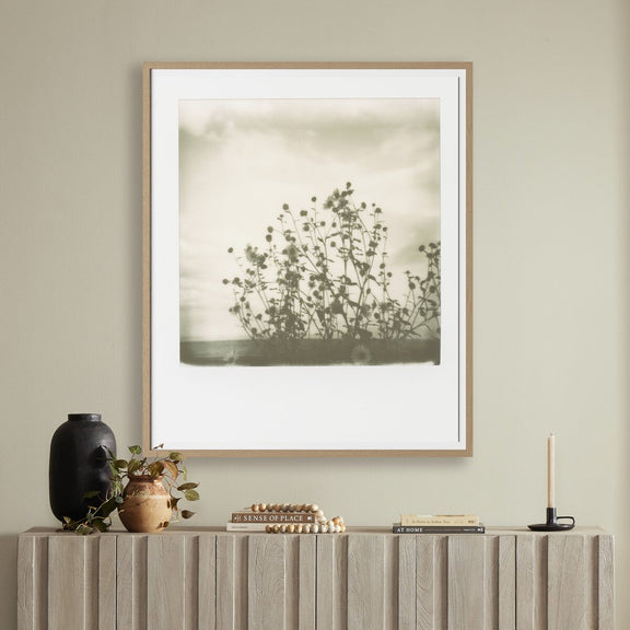 Sunflowers by Darden Smith - White Oak