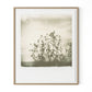 Sunflowers by Darden Smith - White Oak