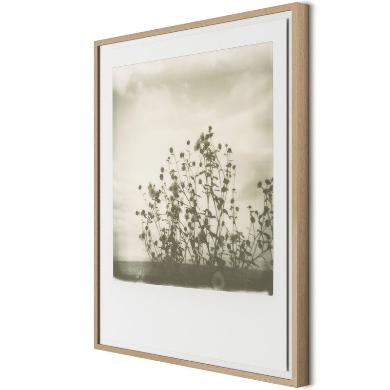 Sunflowers by Darden Smith - White Oak