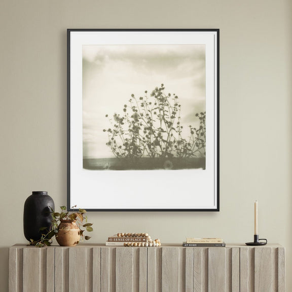 Sunflowers by Darden Smith - Black Maple