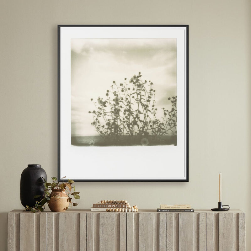 Sunflowers by Darden Smith - Black Maple