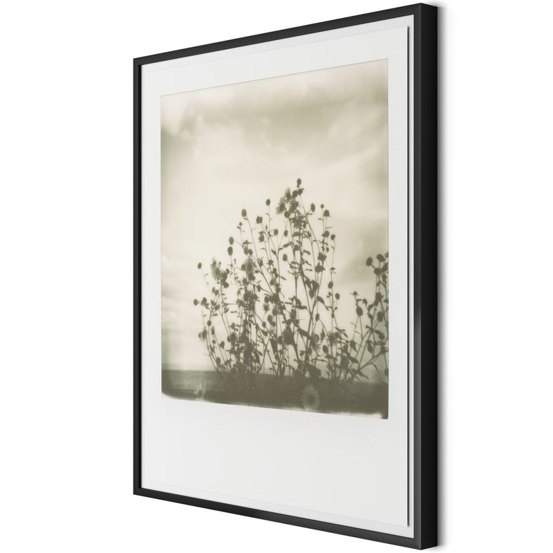 Sunflowers by Darden Smith - Black Maple