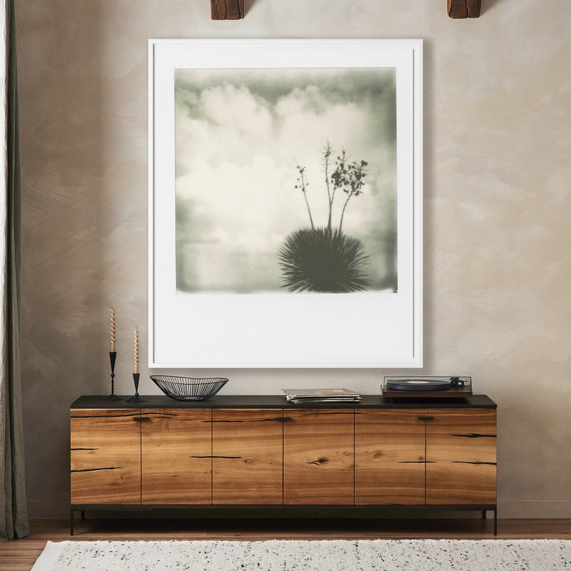 Yucca by Darden Smith - White Maple