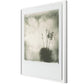 Yucca by Darden Smith - White Maple