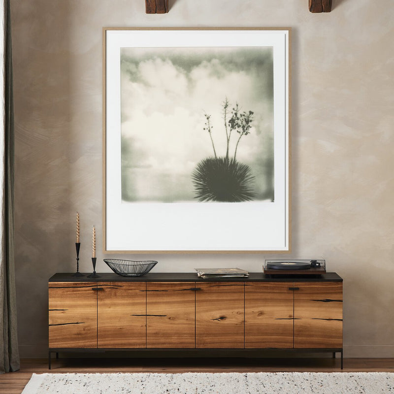 Yucca by Darden Smith - White Oak