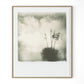 Yucca by Darden Smith - White Oak