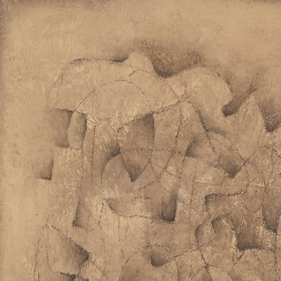 Desert Fortress by Benjamin Galvan - Rustic Walnut Floater