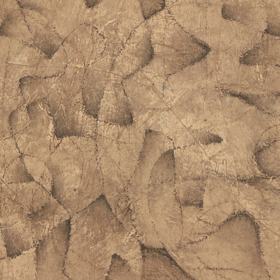 Desert Fortress by Benjamin Galvan - Rustic Walnut Floater