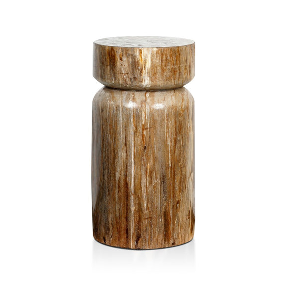 Joi End Table - Light Petrified Wood
