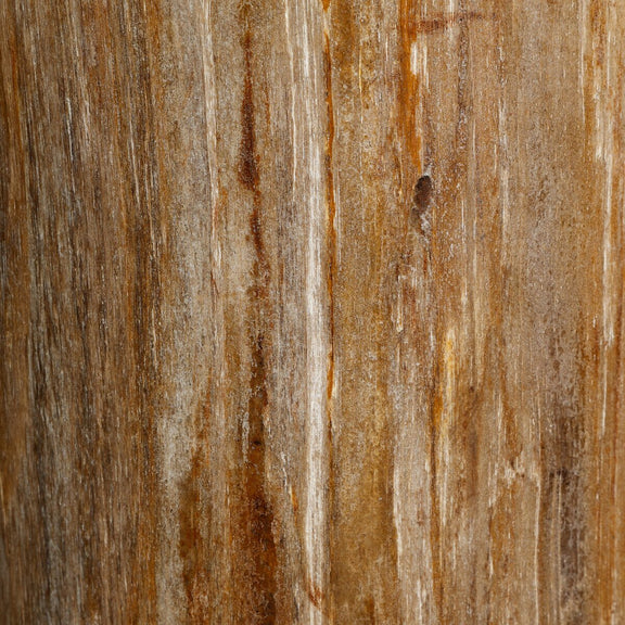 Joi End Table - Light Petrified Wood