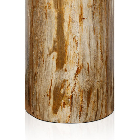 Joi End Table - Light Petrified Wood