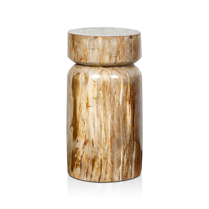 Joi End Table - Light Petrified Wood