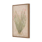 Ocotillo by Paul Meyer - White Oak Floater