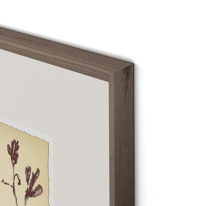 Meadow Rue No.3 by Shaina Page - Rooftop Rustic Walnut
