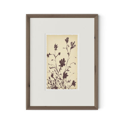 Meadow Rue No.3 by Shaina Page - Rooftop Rustic Walnut