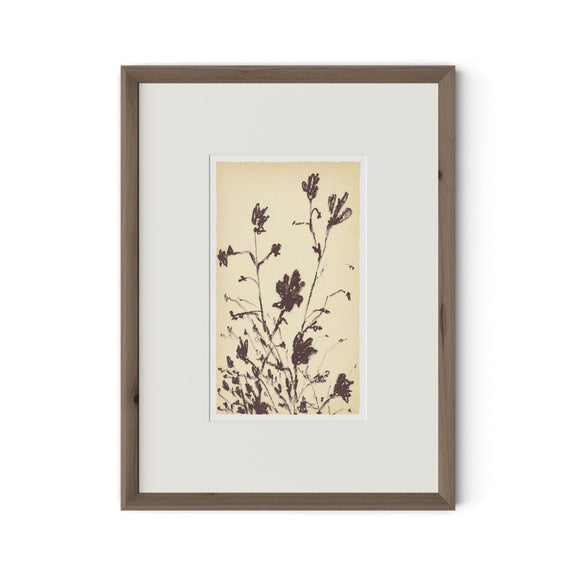 Meadow Rue No.3 by Shaina Page - Rooftop Rustic Walnut