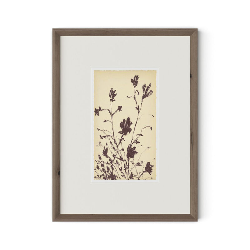 Meadow Rue No.3 by Shaina Page - Rooftop Rustic Walnut