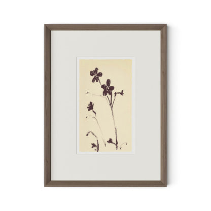 Meadow Rue No.9 by Shaina Page - Rooftop Rustic Walnut
