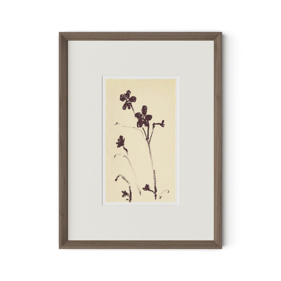 Meadow Rue No.9 by Shaina Page - Rooftop Rustic Walnut