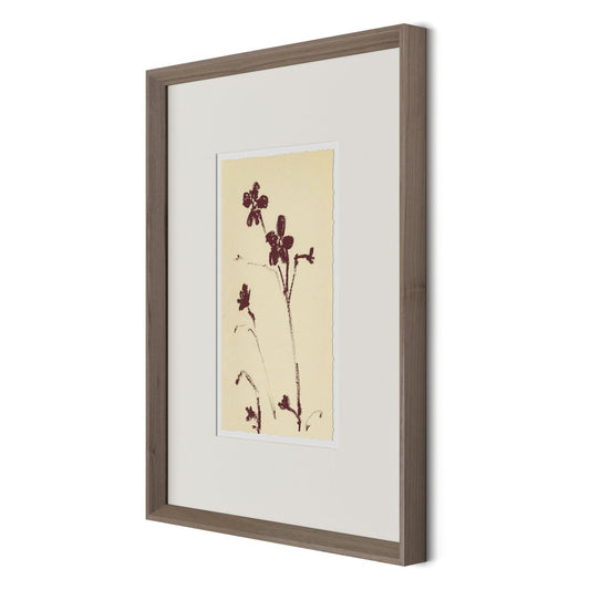 Meadow Rue No.9 by Shaina Page - Rooftop Rustic Walnut